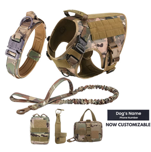 6-in-1 Full Tactical Set- Harness, collar, leash and MOLLE pouches
