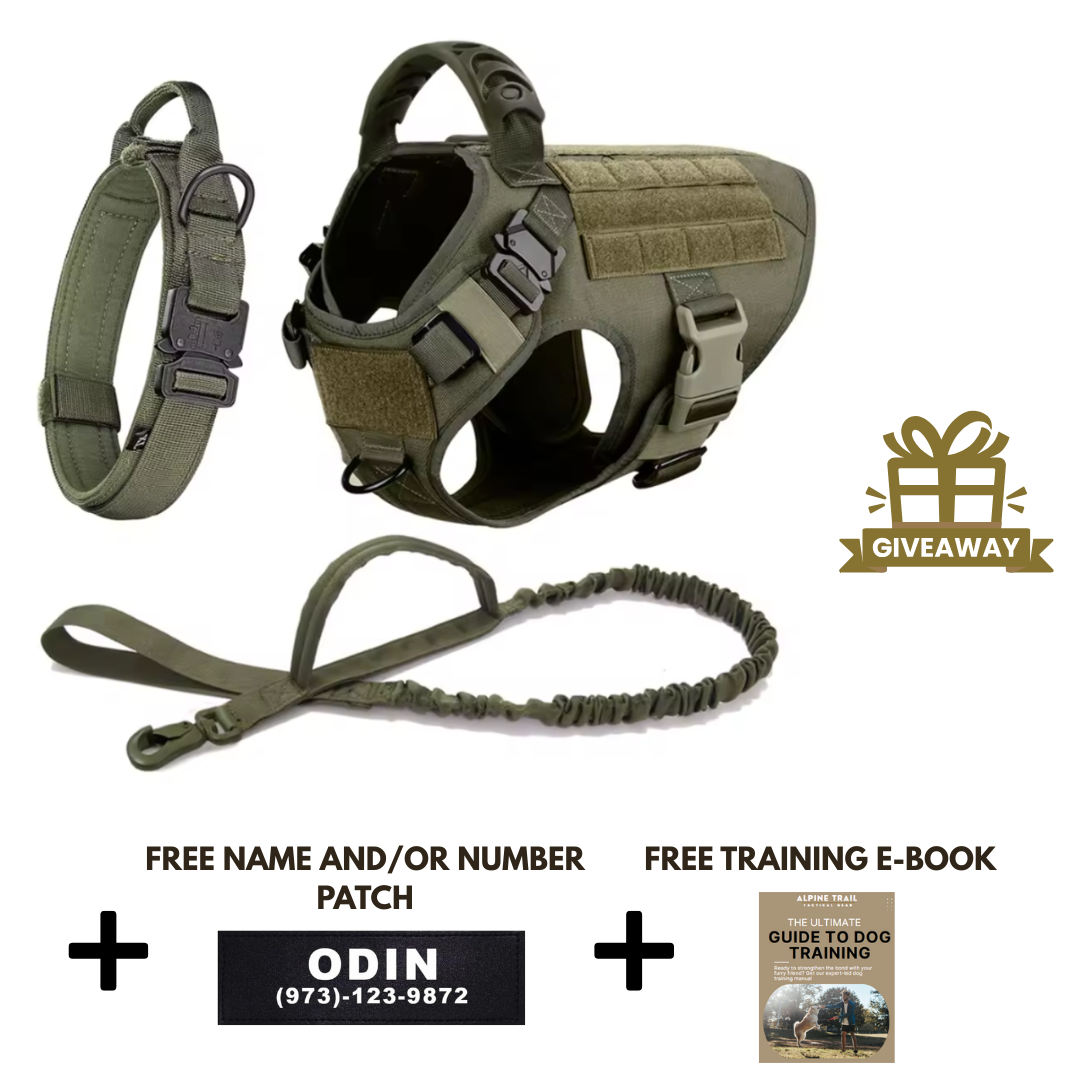 STRIKER™ Military-Grade Tactical No-Pull Harness V4