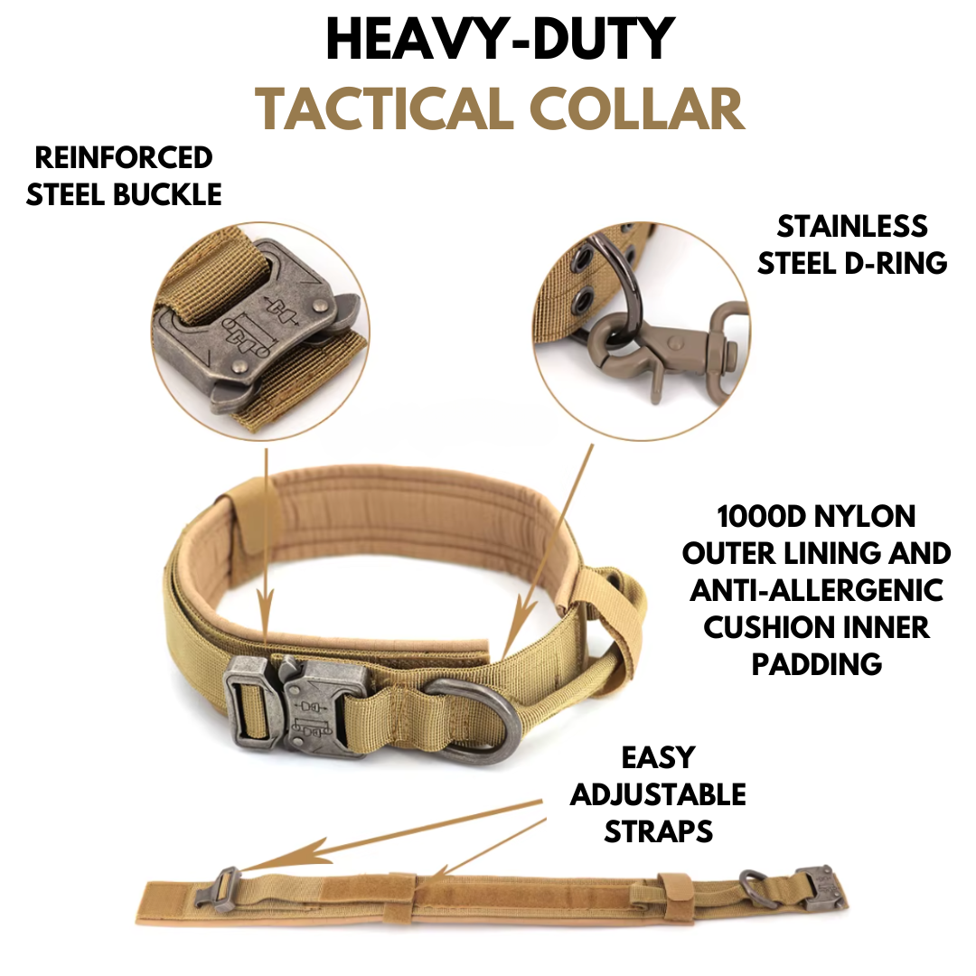 6-in-1 Full Tactical Set- Harness, collar, leash and MOLLE pouches