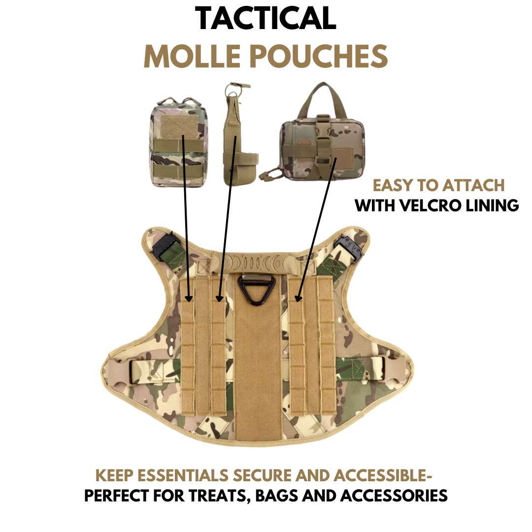 6-in-1 Full Tactical Set- Harness, collar, leash and MOLLE pouches