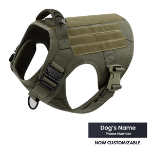 STRIKER™ Military-Grade Tactical No-Pull Harness V4