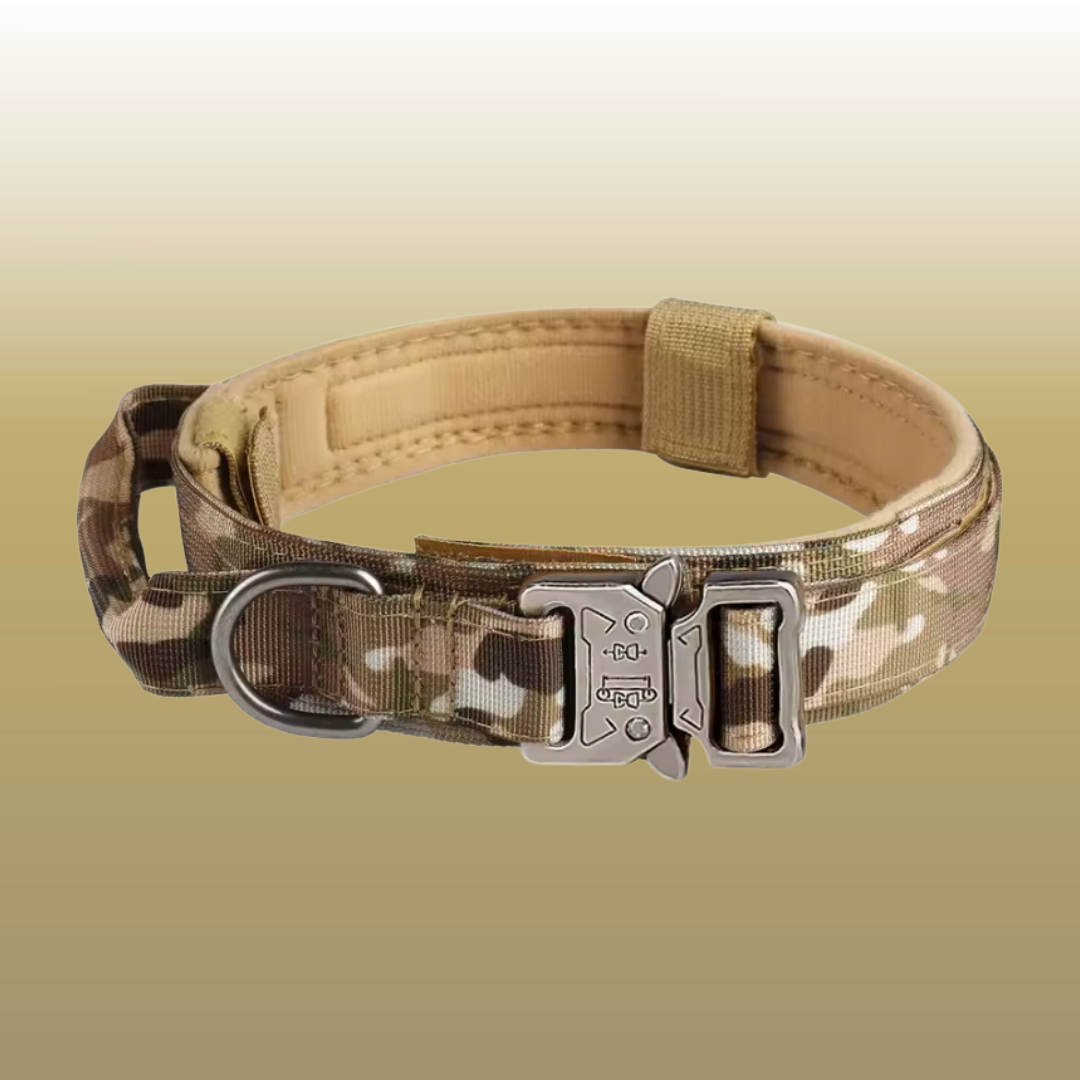 RANGER™ Reinforced Tactical Collar