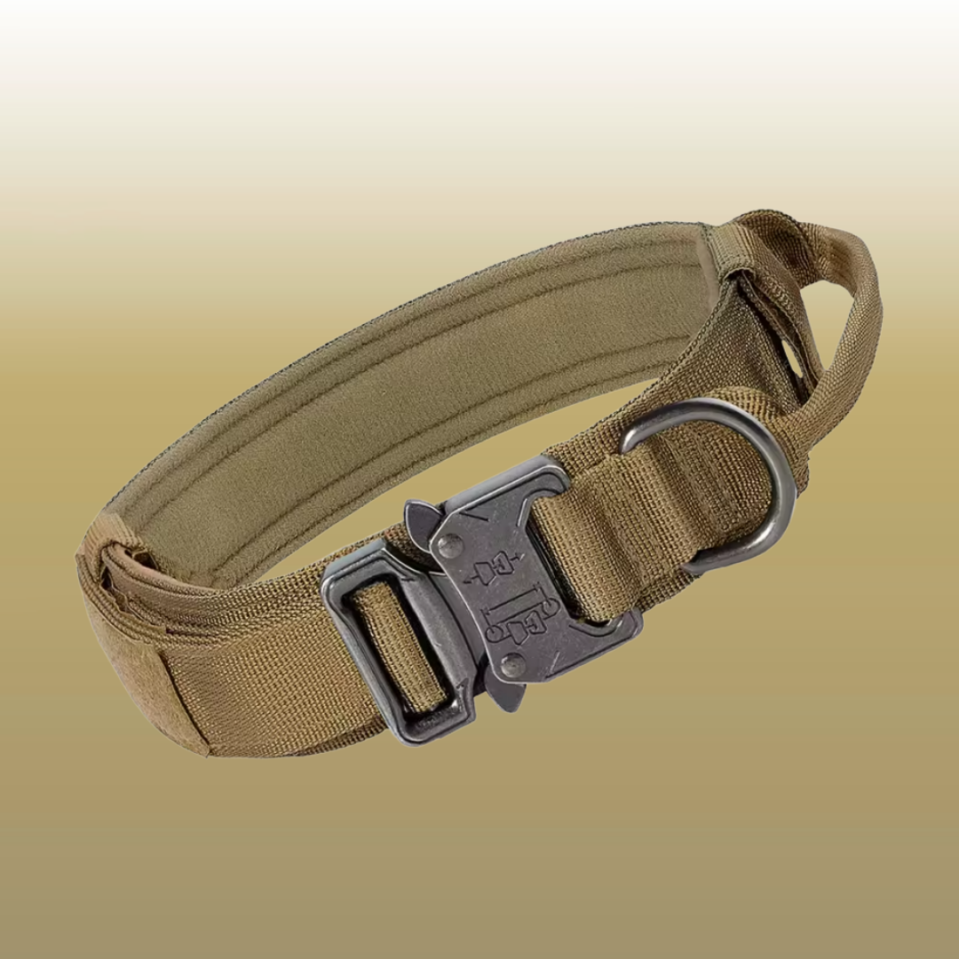RANGER™ Reinforced Tactical Collar