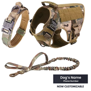 3-in-1 No-Pull Tactical Harness, Collar and Bungee Leash Set