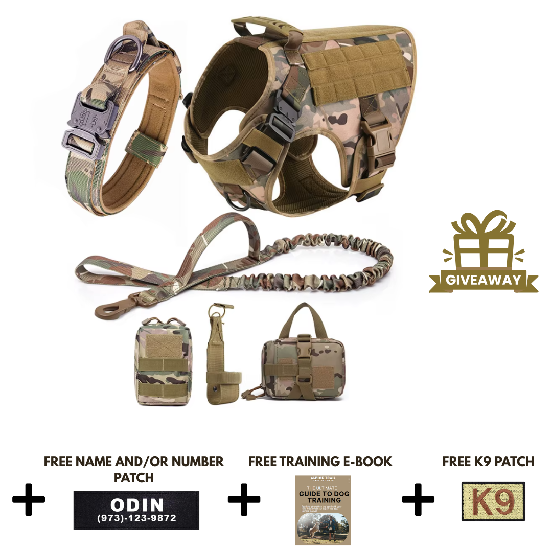 STRIKER™ Military-Grade Tactical No-Pull Harness V4