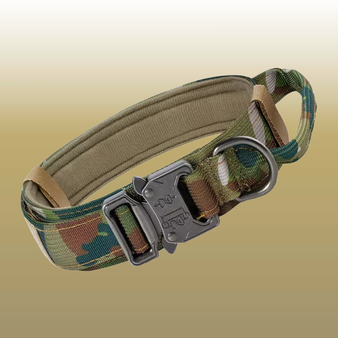 RANGER™ Reinforced Tactical Collar