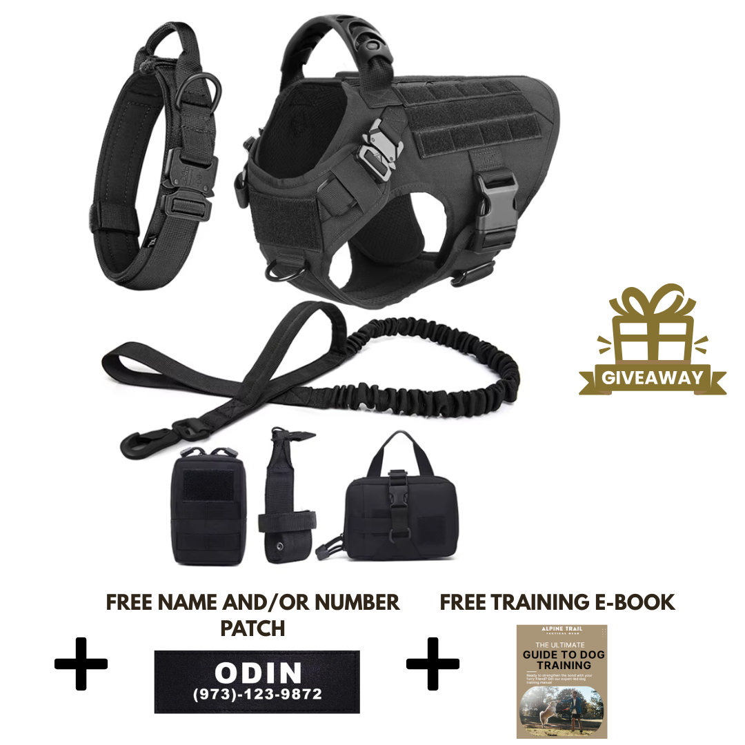 STRIKER™ Military-Grade Tactical No-Pull Harness V4
