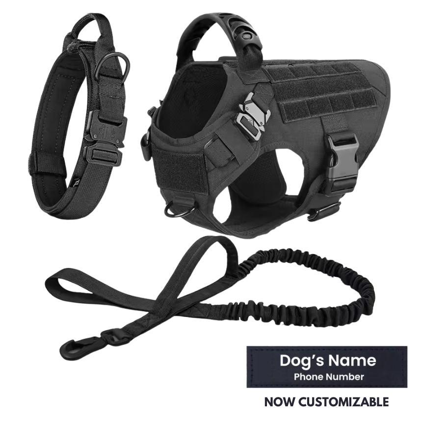 STRIKER™ Military-Grade Tactical No-Pull Harness V4