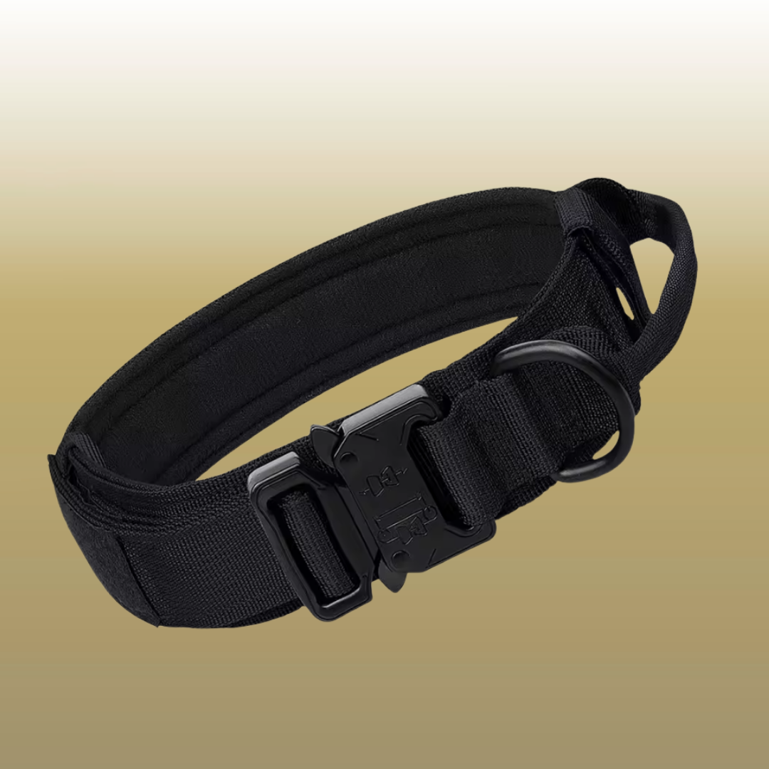 RANGER™ Reinforced Tactical Collar
