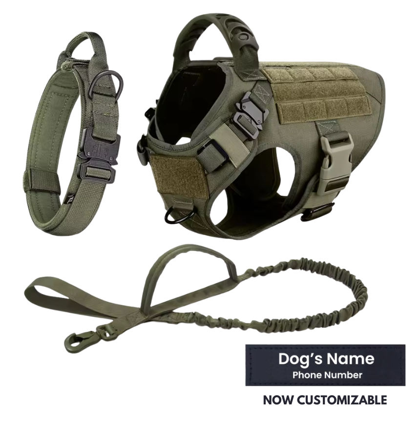 STRIKER™ Military-Grade Tactical No-Pull Harness V4