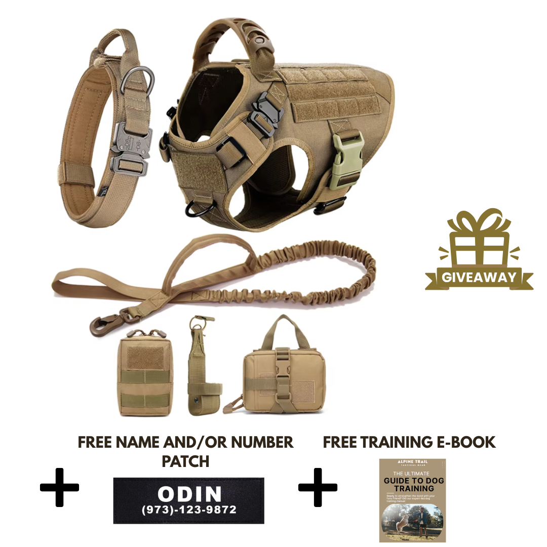 STRIKER™ Military-Grade Tactical No-Pull Harness V4