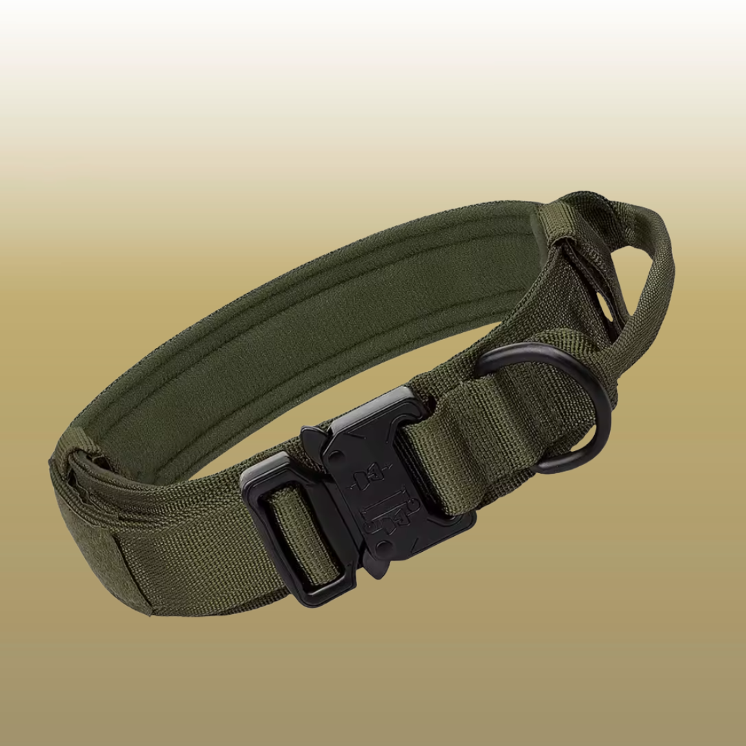 RANGER™ Reinforced Tactical Collar