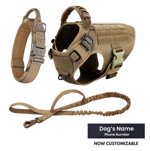 3-in-1 No-Pull Tactical Harness, Collar and Bungee Leash Set