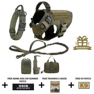 6-in-1 Full Tactical Set- Harness, collar, leash and MOLLE pouches