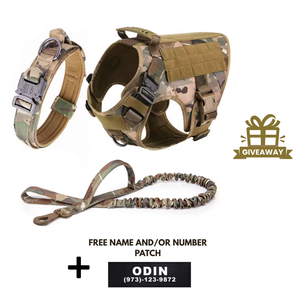 3-in-1 No-Pull Tactical Harness, Collar and Bungee Leash Set