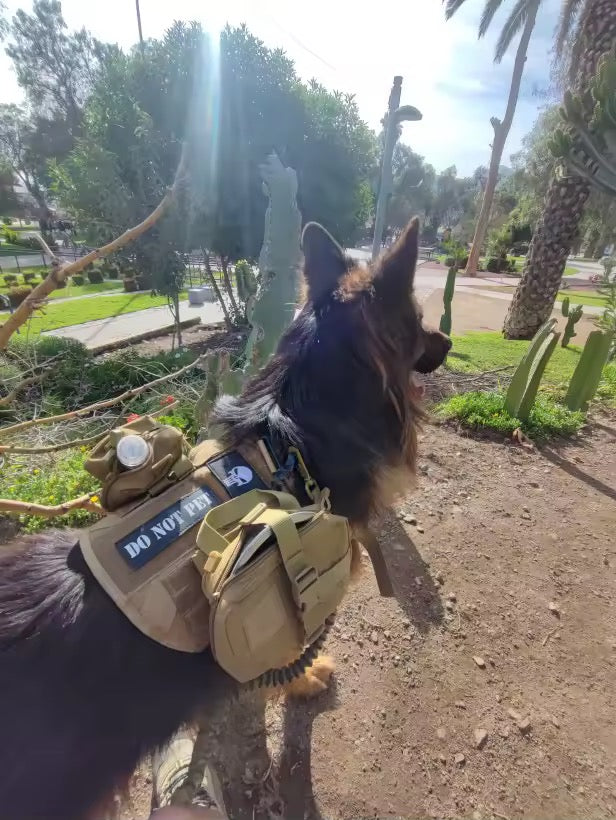 6-in-1 Full Tactical Set- Harness, collar, leash and MOLLE pouches