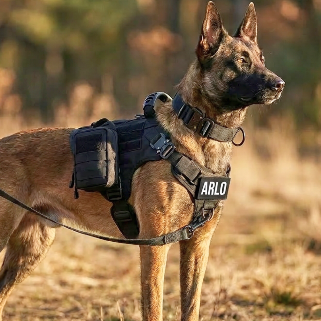 STRIKER™ Military-Grade Tactical No-Pull Harness V4