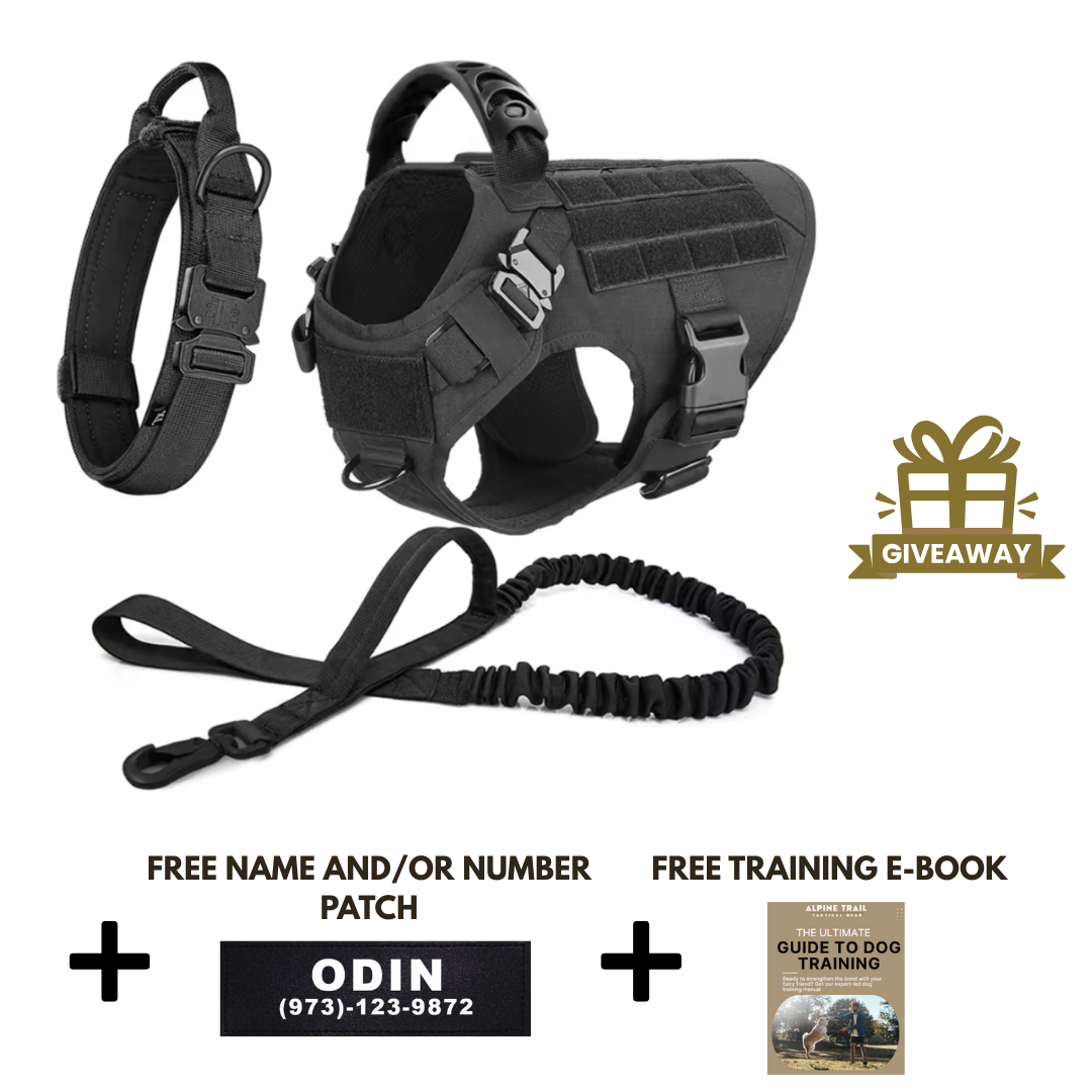 STRIKER™ Military-Grade Tactical No-Pull Harness V4