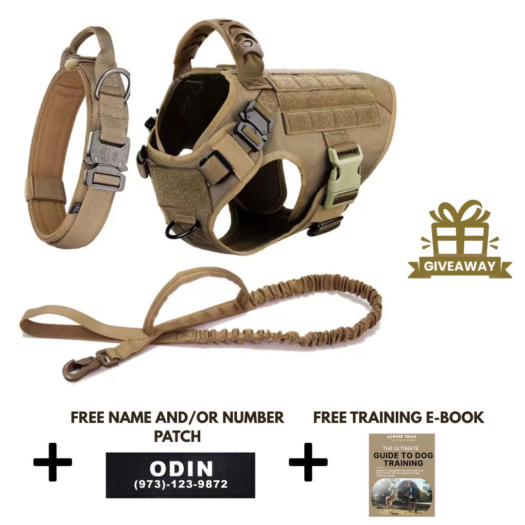 STRIKER™ Military-Grade Tactical No-Pull Harness V4