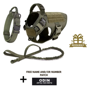 3-in-1 No-Pull Tactical Harness, Collar and Bungee Leash Set
