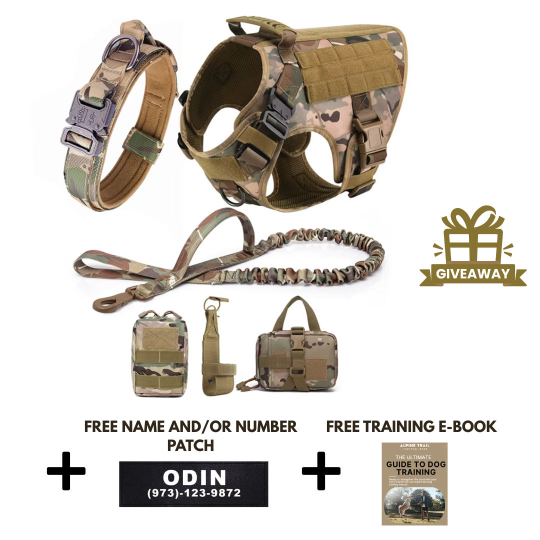 6-in-1 Full Tactical Set- Harness, collar, leash and MOLLE pouches