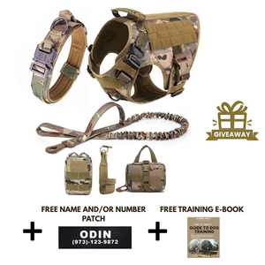 6-in-1 Full Tactical Set- Harness, collar, leash and MOLLE pouches