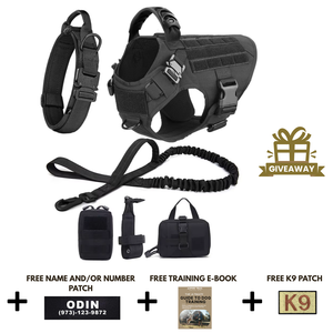 6-in-1 Full Tactical Set- Harness, collar, leash and MOLLE pouches