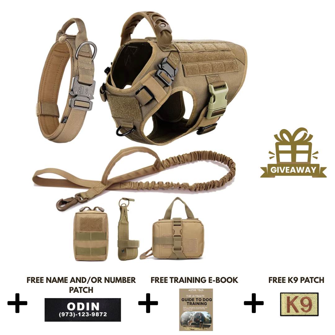 STRIKER™ Military-Grade Tactical No-Pull Harness V4
