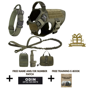 6-in-1 Full Tactical Set- Harness, collar, leash and MOLLE pouches