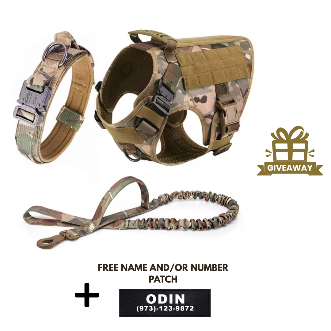 3-in-1 No-Pull Tactical Harness, Collar and Bungee Leash Set