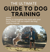 The Ultimate Guide to Dog Training