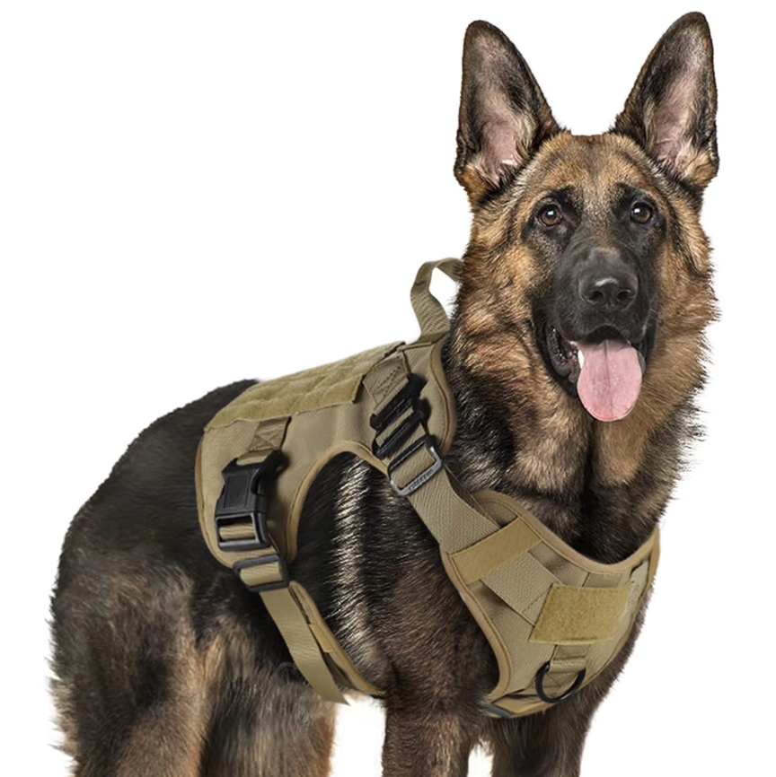 Striker Military-Grade Tactical No-Pull Harness V4