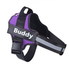 Reflective No-Pull Personalized Harness