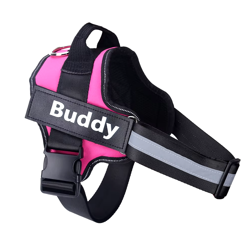 Reflective No-Pull Personalized Harness