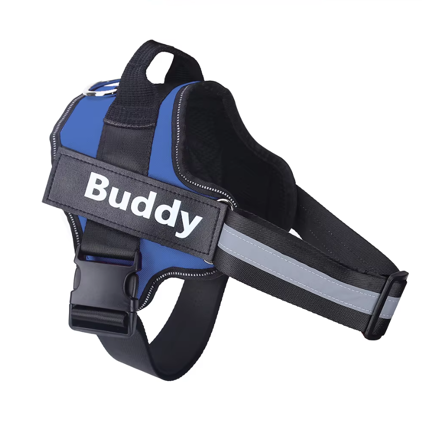 Reflective No-Pull Personalized Harness