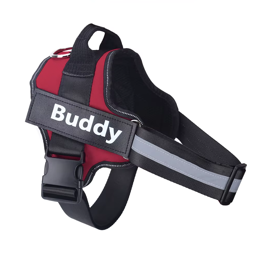 Reflective No-Pull Personalized Harness