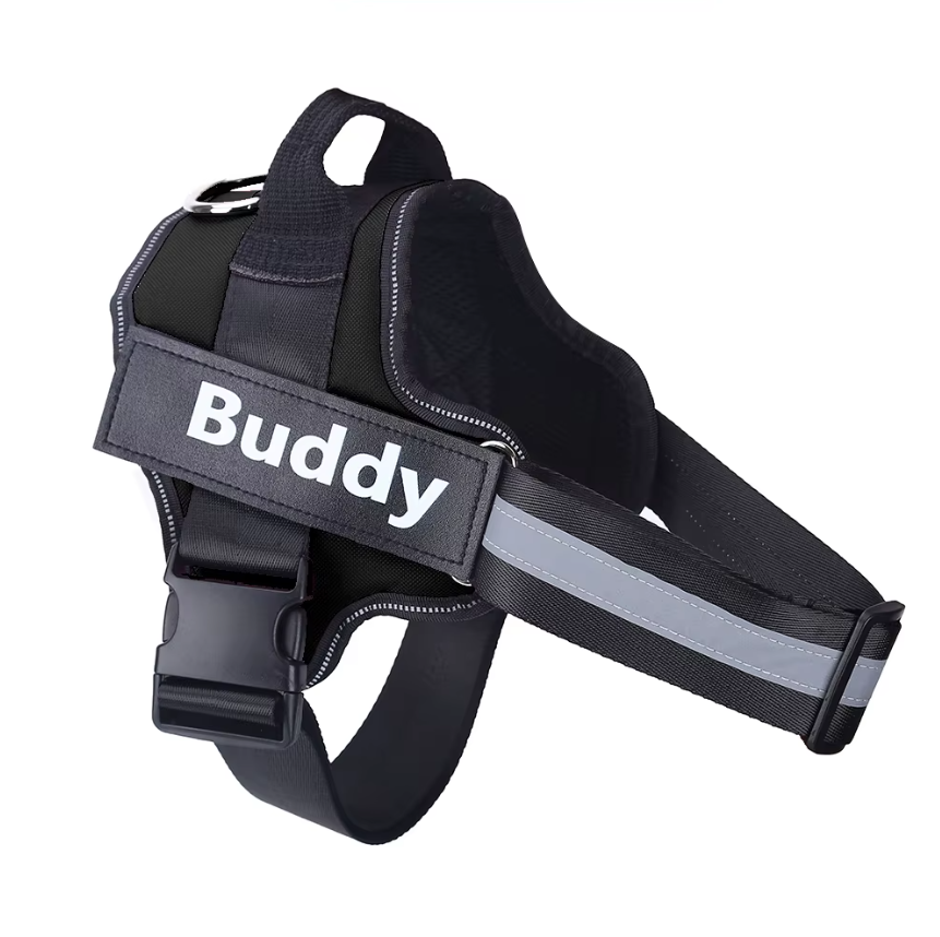 Reflective No-Pull Personalized Harness