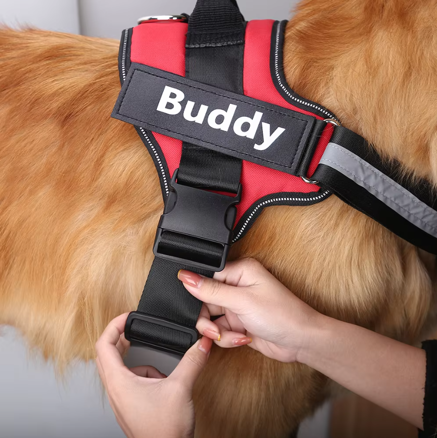 Reflective No-Pull Personalized Harness