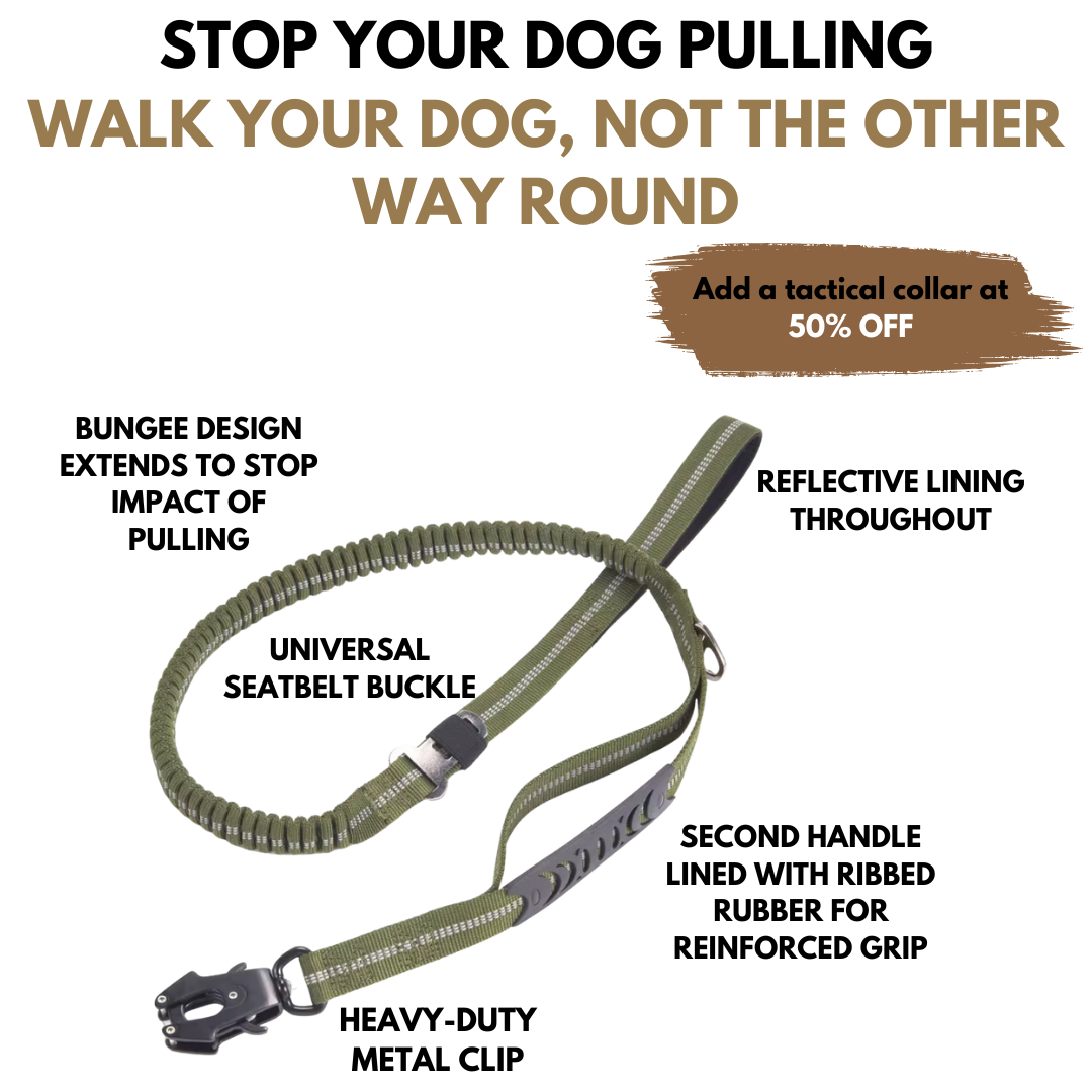 Reinforced Shock-Absorbing Tactical No-Pull Bungee Leash with Seatbelt Buckle